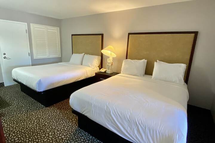 Room 41 of 62