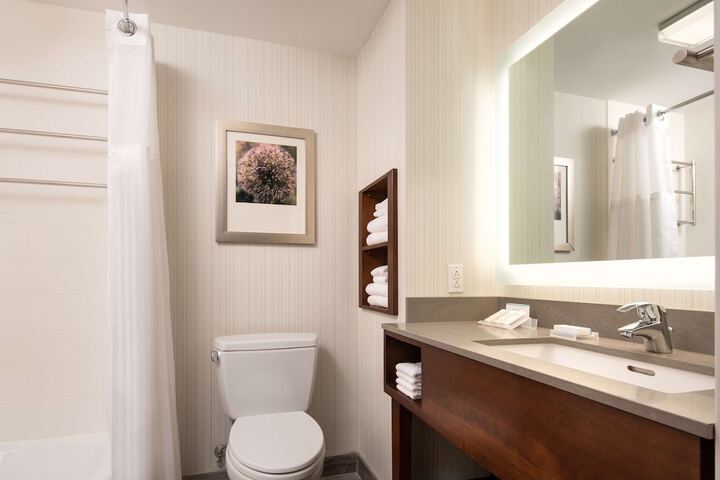Hilton Garden Inn Long Island City New York