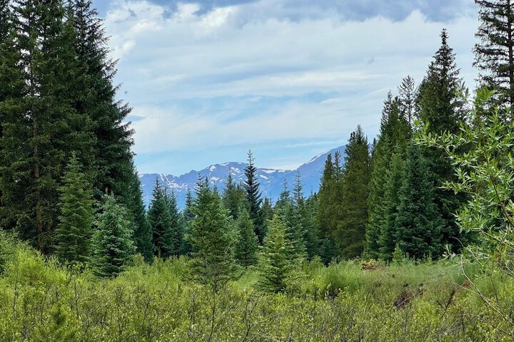 Settlers Creek 6523