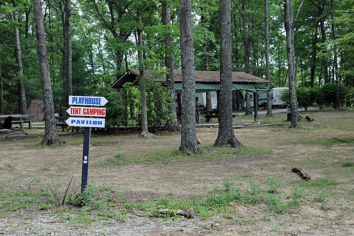 Pandoras Forest - Adults Only