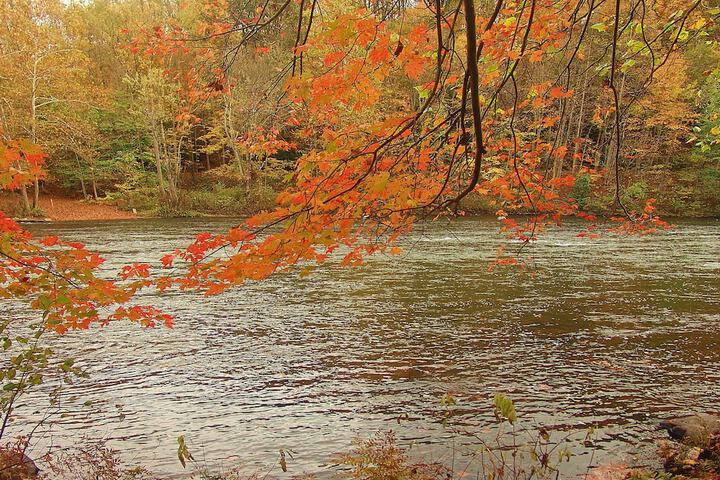 Paddlers Lane Retreat