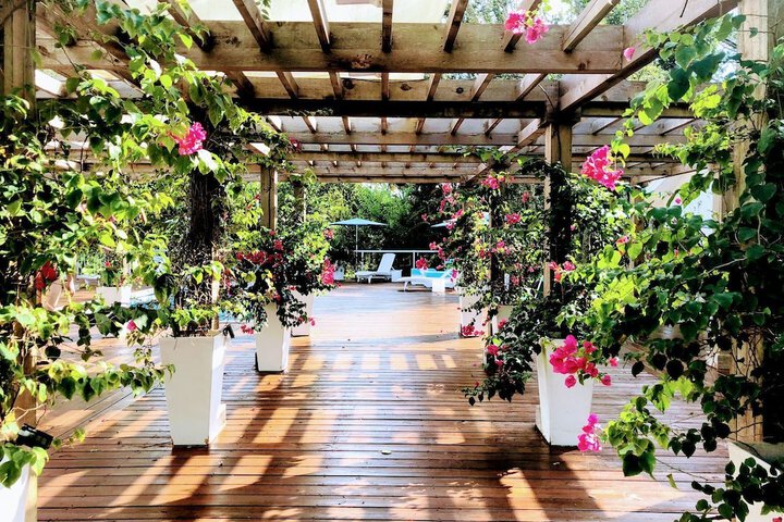 Orchid Estates