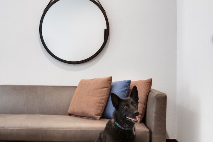 Pet Friendly 89 of 90
