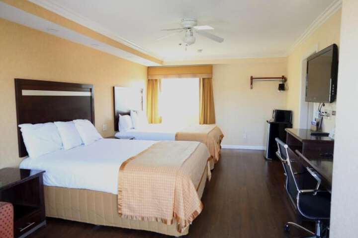 Room 38 of 49
