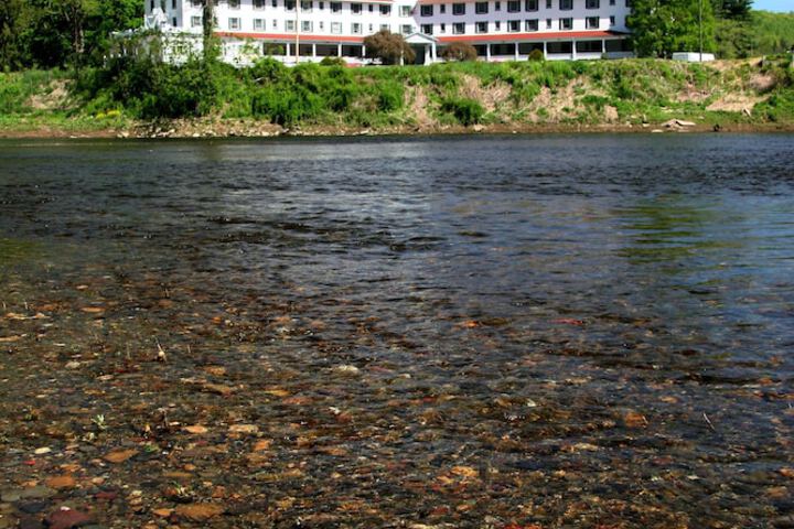 Hotel 5 of 114