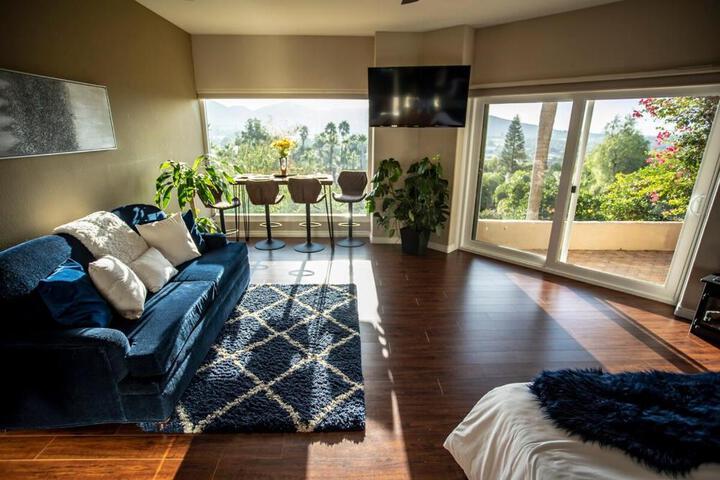 Buena Creek Vista Primary Subdivided Home with Views and Pool