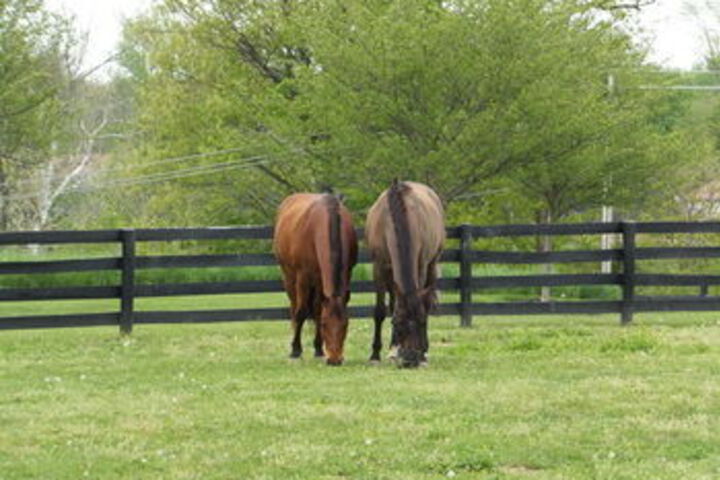 Bluegrass Country Estate