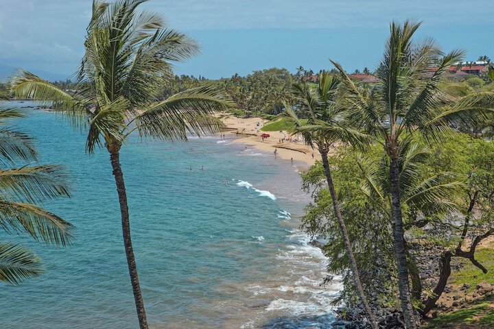 Beach 226 of 271