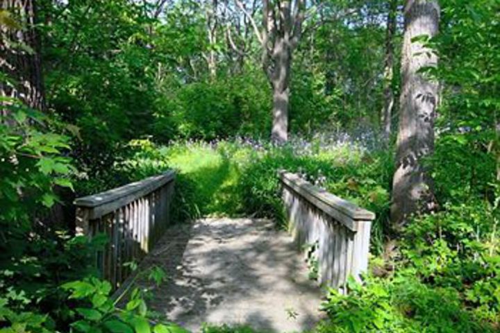 Finger Lakes Bed and Breakfast