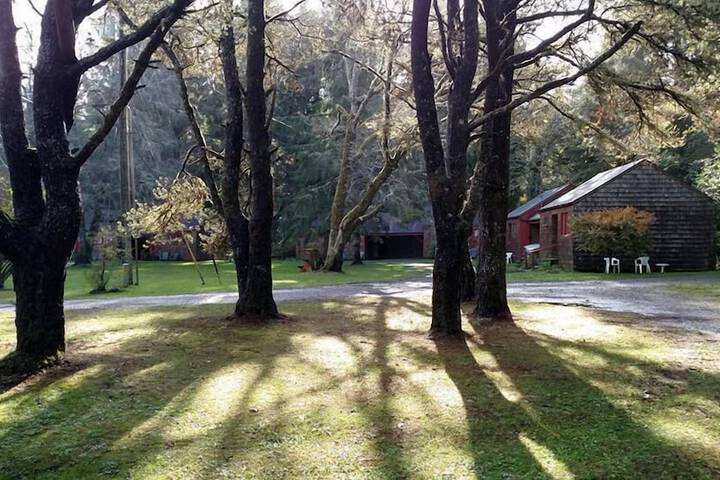 Property Grounds 37 of 41
