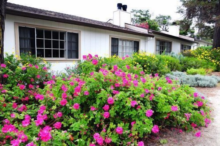 Deer Haven Inn