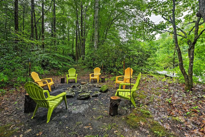 Creekside Cottage: Blue Ridge Mountain Escape!