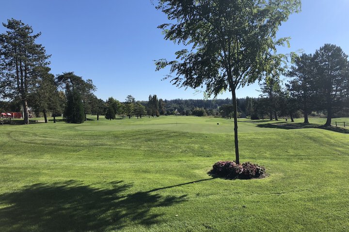 Golf 175 of 194