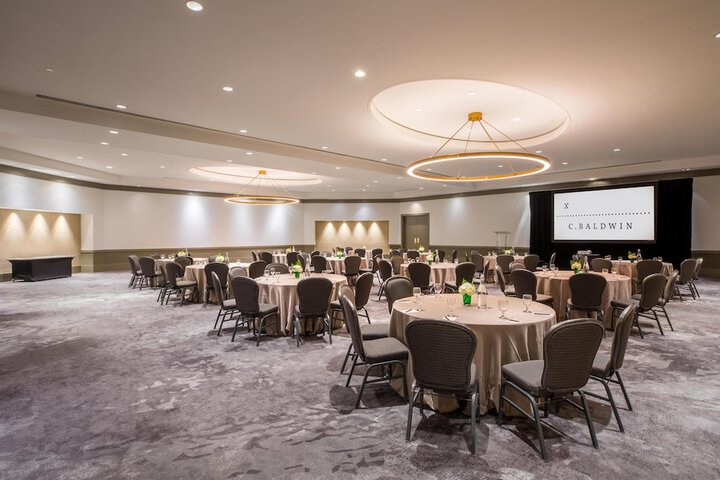 C. Baldwin Curio Collection by Hilton
