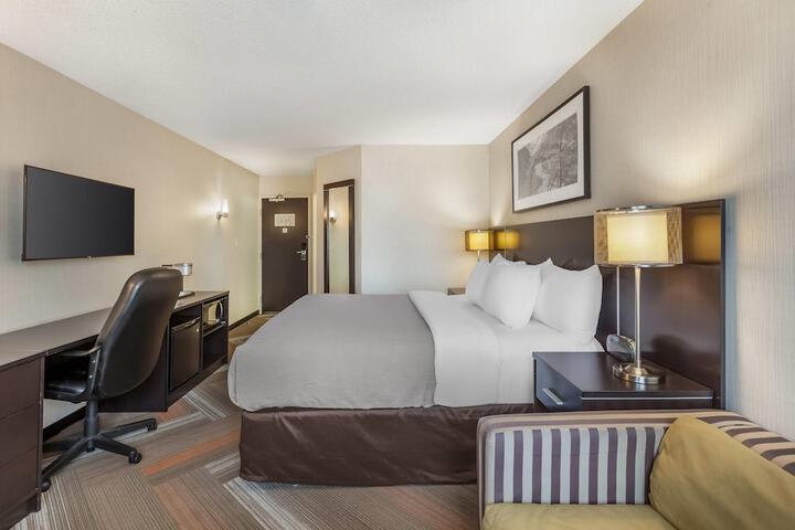 Quality Hotel
