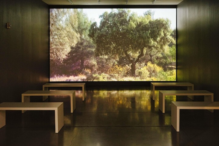 21c Museum Hotel Bentonville