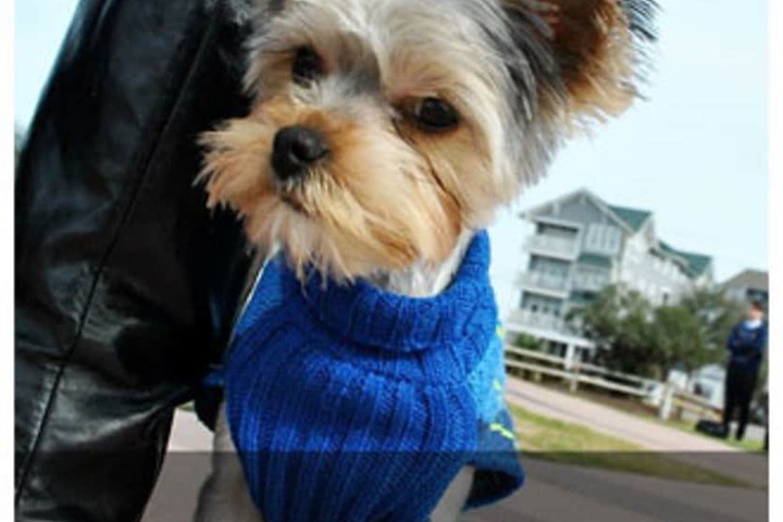 Pirates Cove