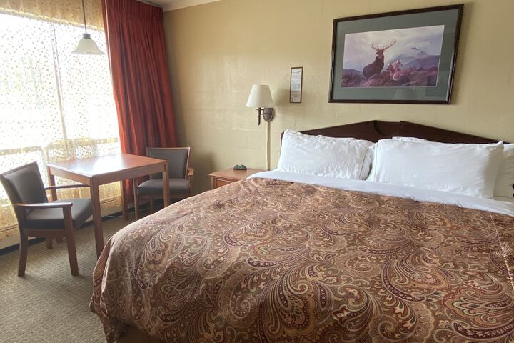 Room 51 of 68