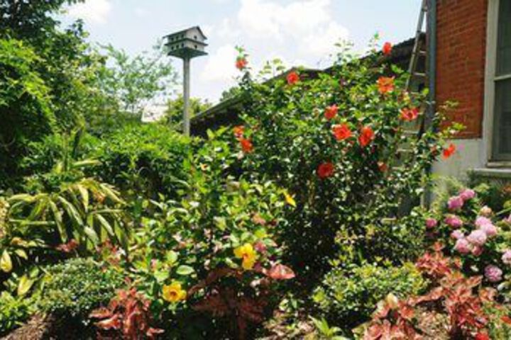 The Old Castillo Bed and Breakfast