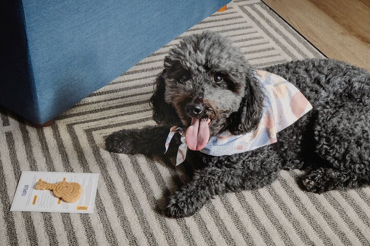 Pet Friendly 29 of 30