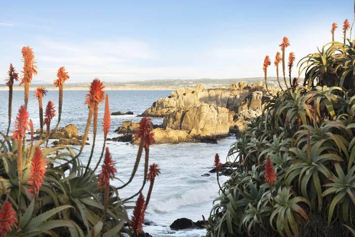 InterContinental the Clement Monterey by IHG