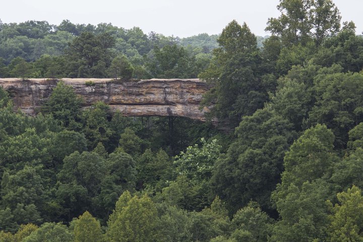 Natural Bridge State Resort Park