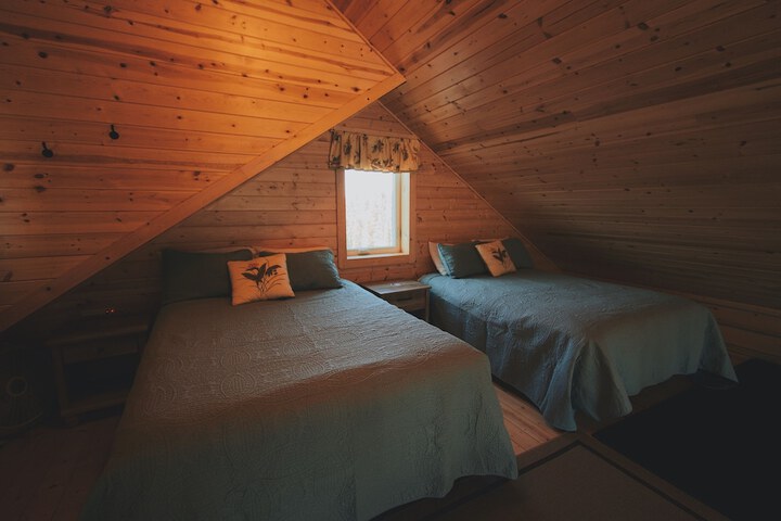 Denali Wild Stay