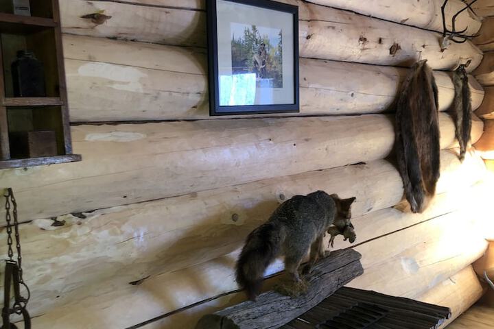 Wrangell Mountain Lodge