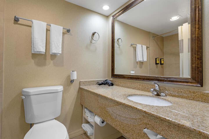 Best Western Plus Big America