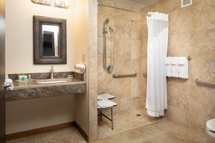Holiday Inn Hotel & Suites Charleston West by IHG