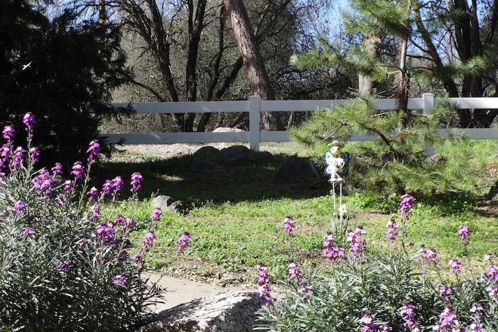 Property Grounds 51 of 60