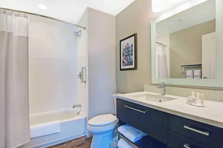 TownePlace Suites by Marriott Jackson Airport / Flowood