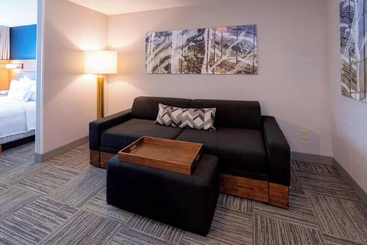 SpringHill Suites by Marriott Rochester-Mayo Clinic / St. Marys