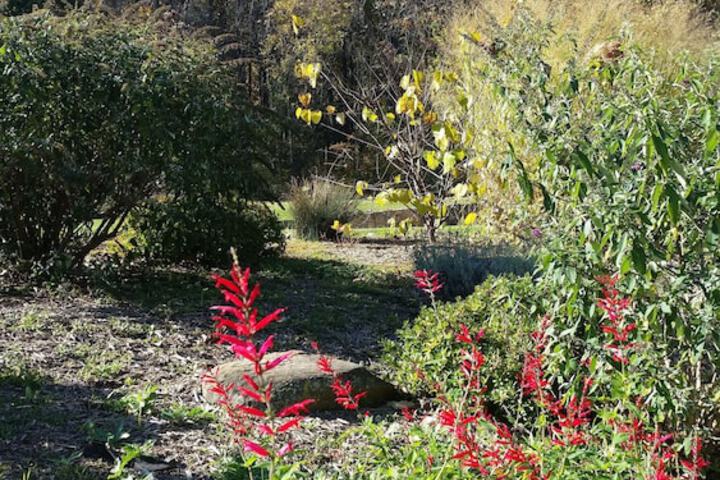 Stone Manor Boutique Inn