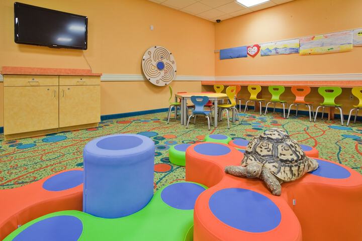 Childrens Activities 63 of 63