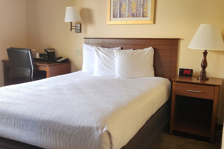Luxury Inn & Suites