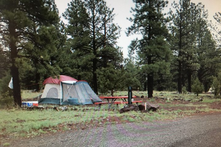 Property Grounds 61 of 61