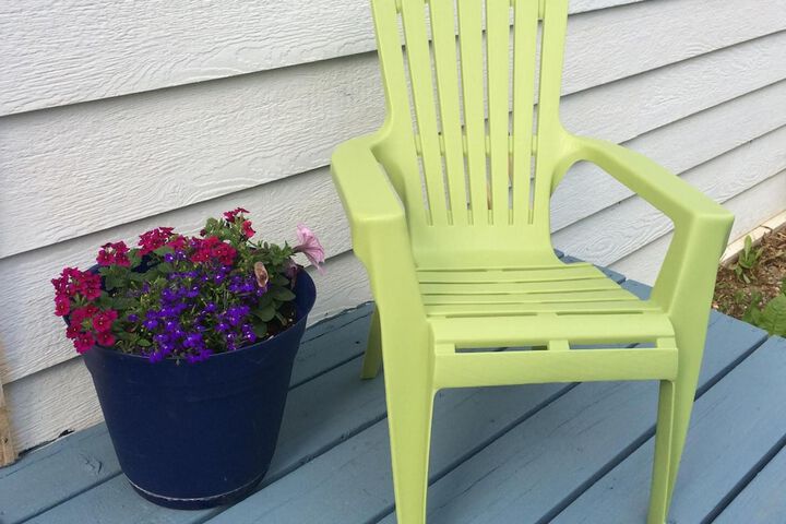 Denali Primrose B & B