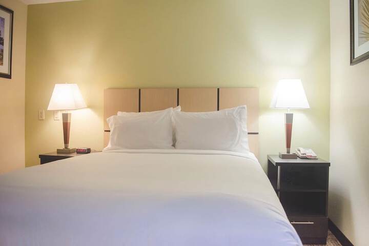 Room 15 of 31