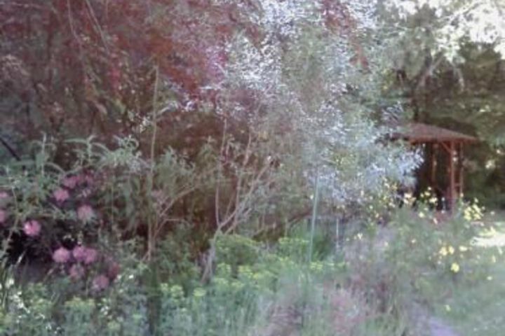 FAIRVIEW MANOR BED AND BREAKFAST