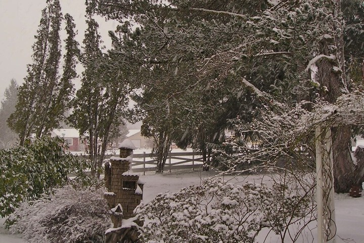 Miller Tree Inn