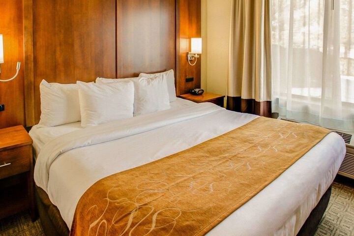Comfort Suites Georgetown