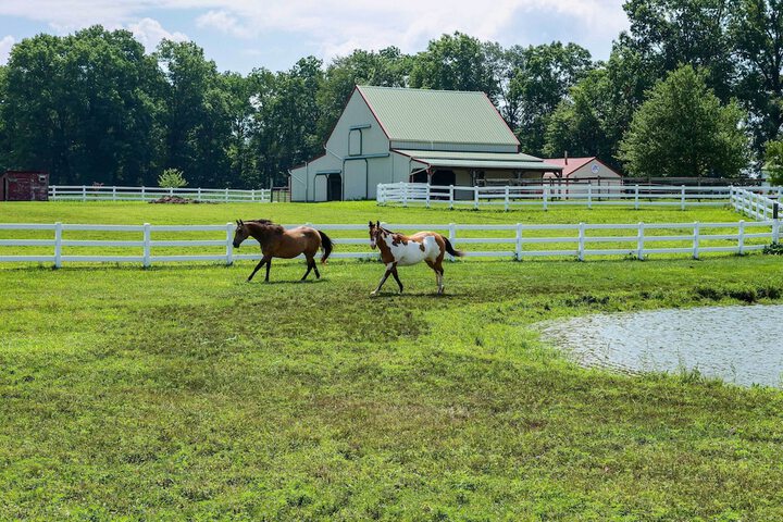 Renovated Bunkhouse on 12-acre Horse Farm!