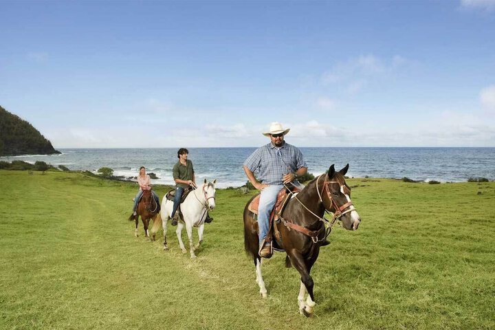 Hana-Maui Resort a Destination by Hyatt Residence