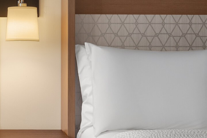 Holiday Inn & Suites Detroit - Troy by IHG