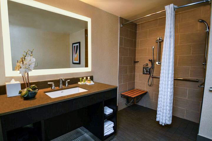 Hilton Austin