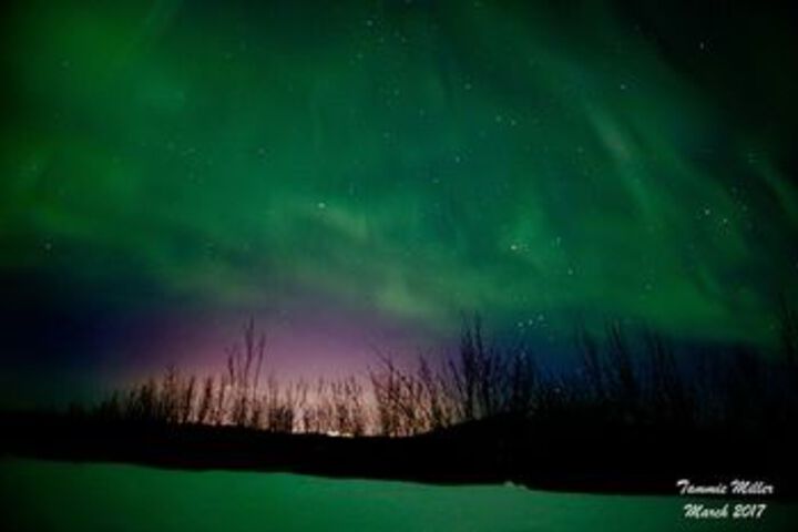 Fairbanks Moose Manor B & B