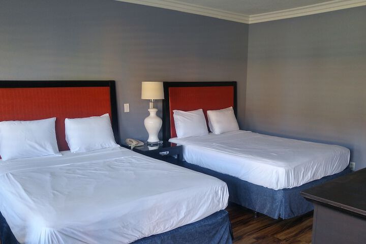 Room 19 of 65