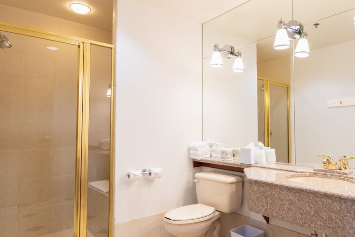 Lakeview Signature Trademark Collection by Wyndham