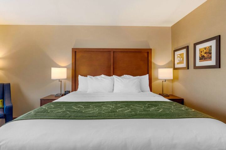 Comfort Inn & Suites Schenectady - Scotia